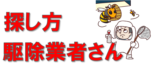 蜂の苦情業者さんの探し方image画像